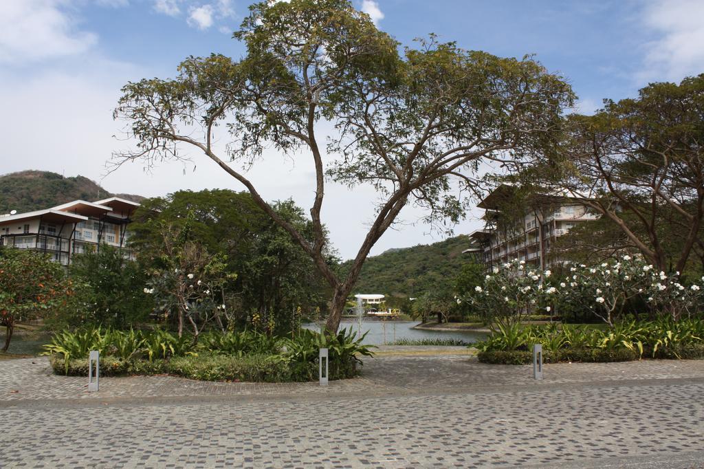 Unit 507 Pico De Loro Apartment Насугбу Екстериор снимка